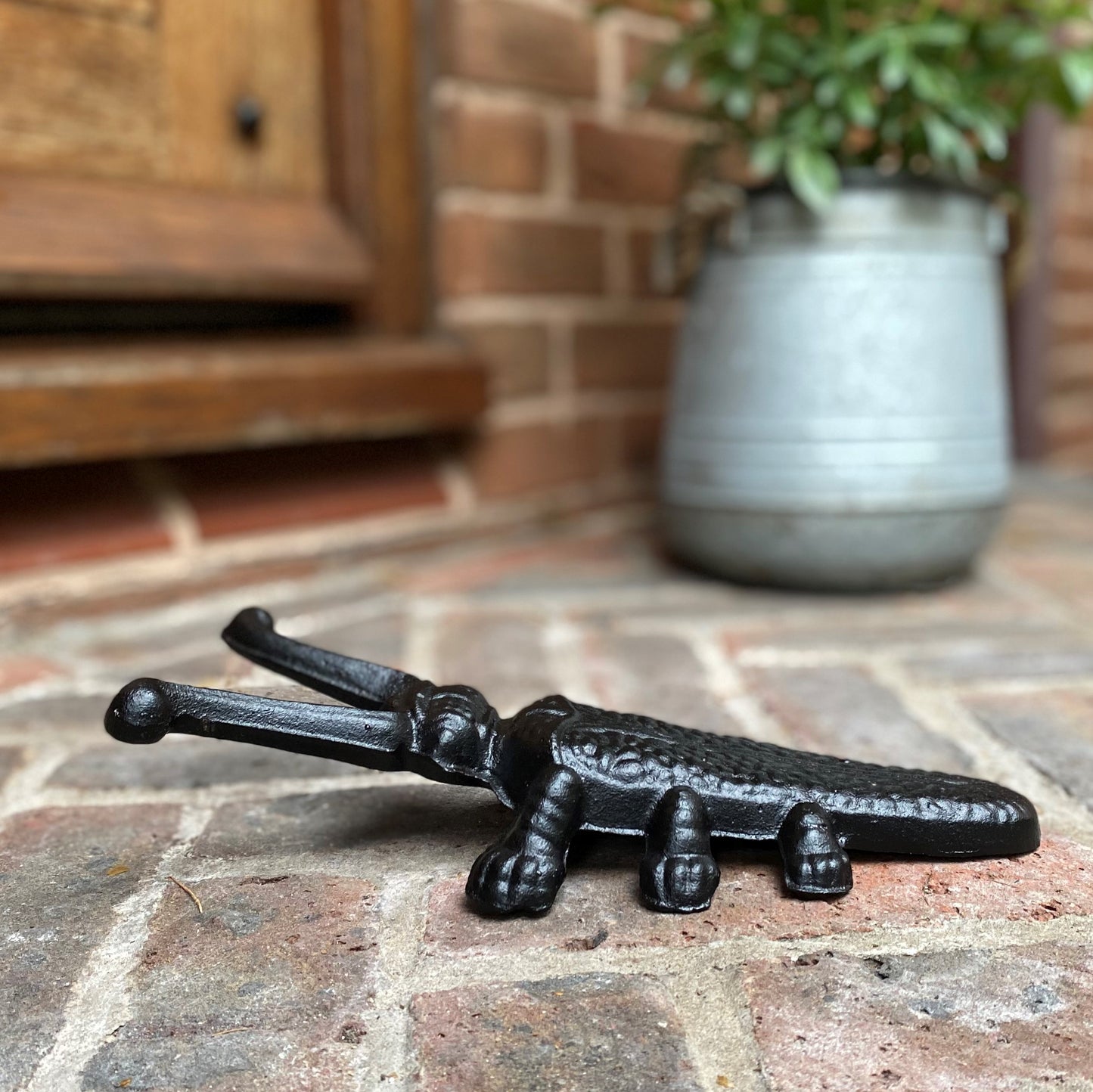 Set of 2 Cast Iron Beetle Boot Jacks