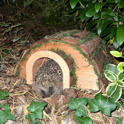 Wooden Barkwood Hogitat Hedgehog House Shelter