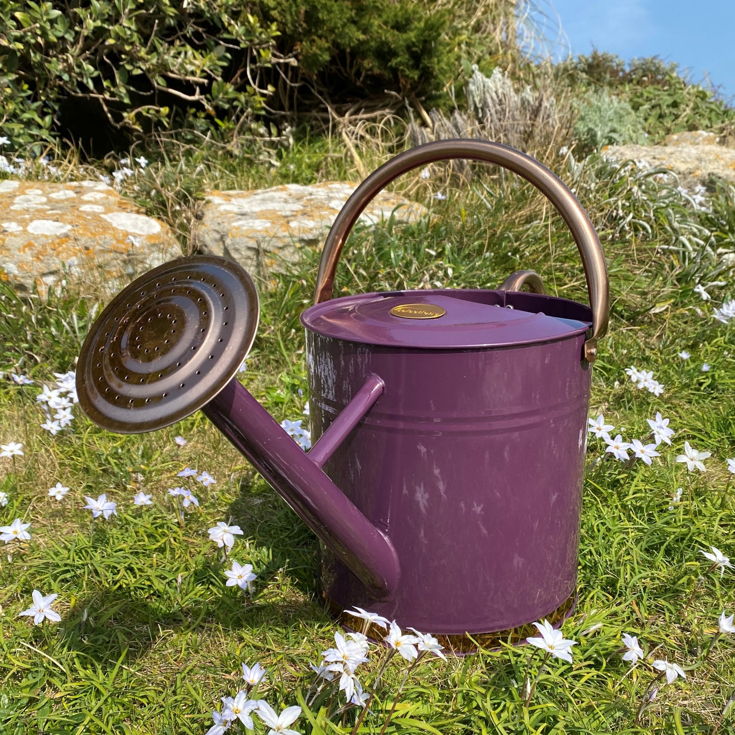 Rose for 9 Litre Heather and Copper Watering Can GFJ854