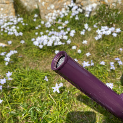 Rose for 9 Litre Heather and Copper Watering Can GFJ854