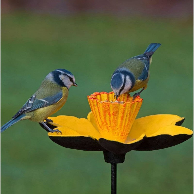 Cast Iron Daffodil Bird Feeder Flower Dish