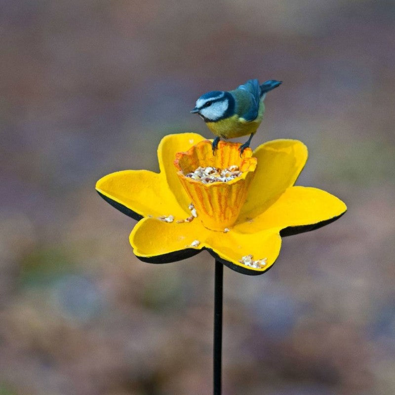 Cast Iron Daffodil Bird Feeder Flower Dish