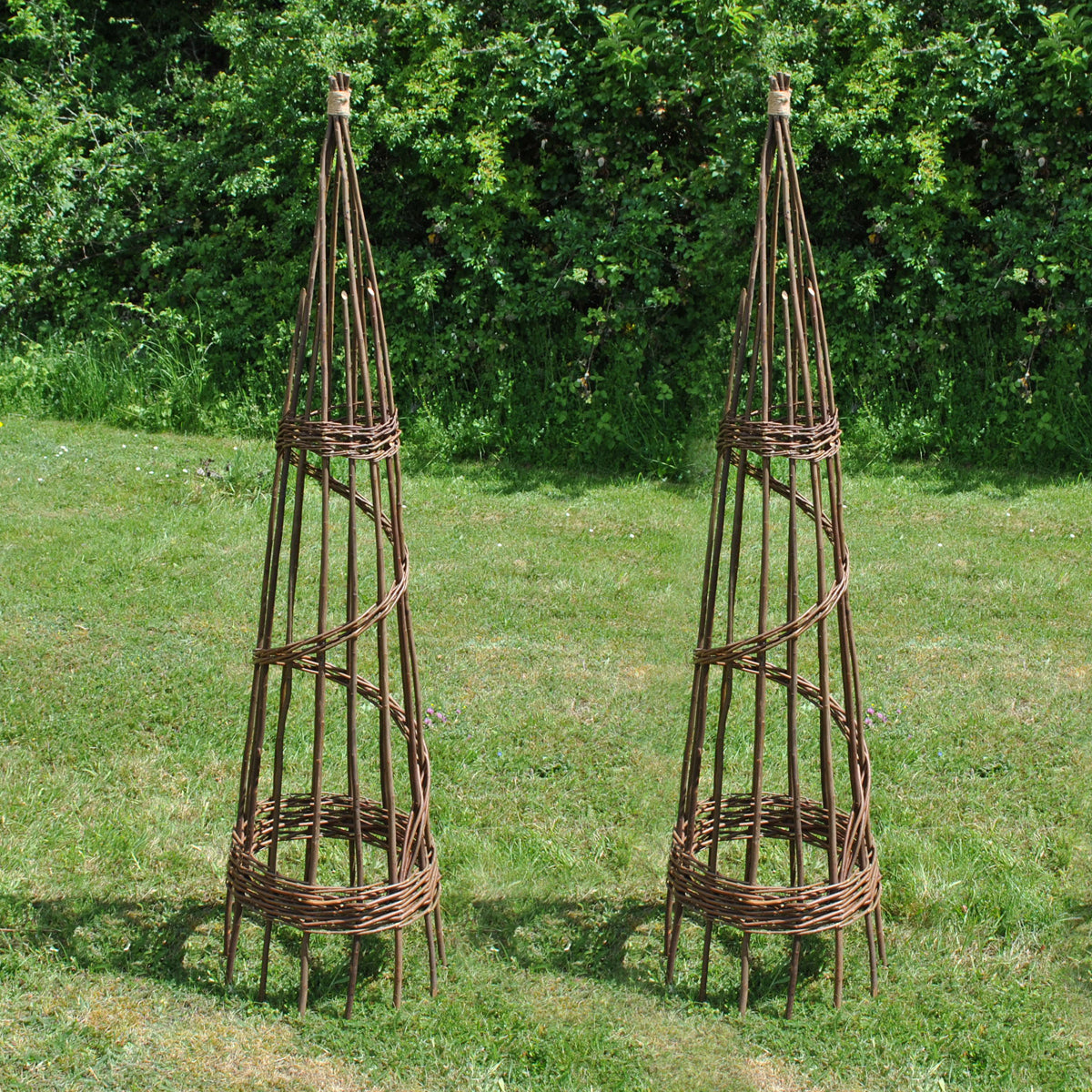 Set of 2 Spiral Willow Garden Obelisks (1.5m)