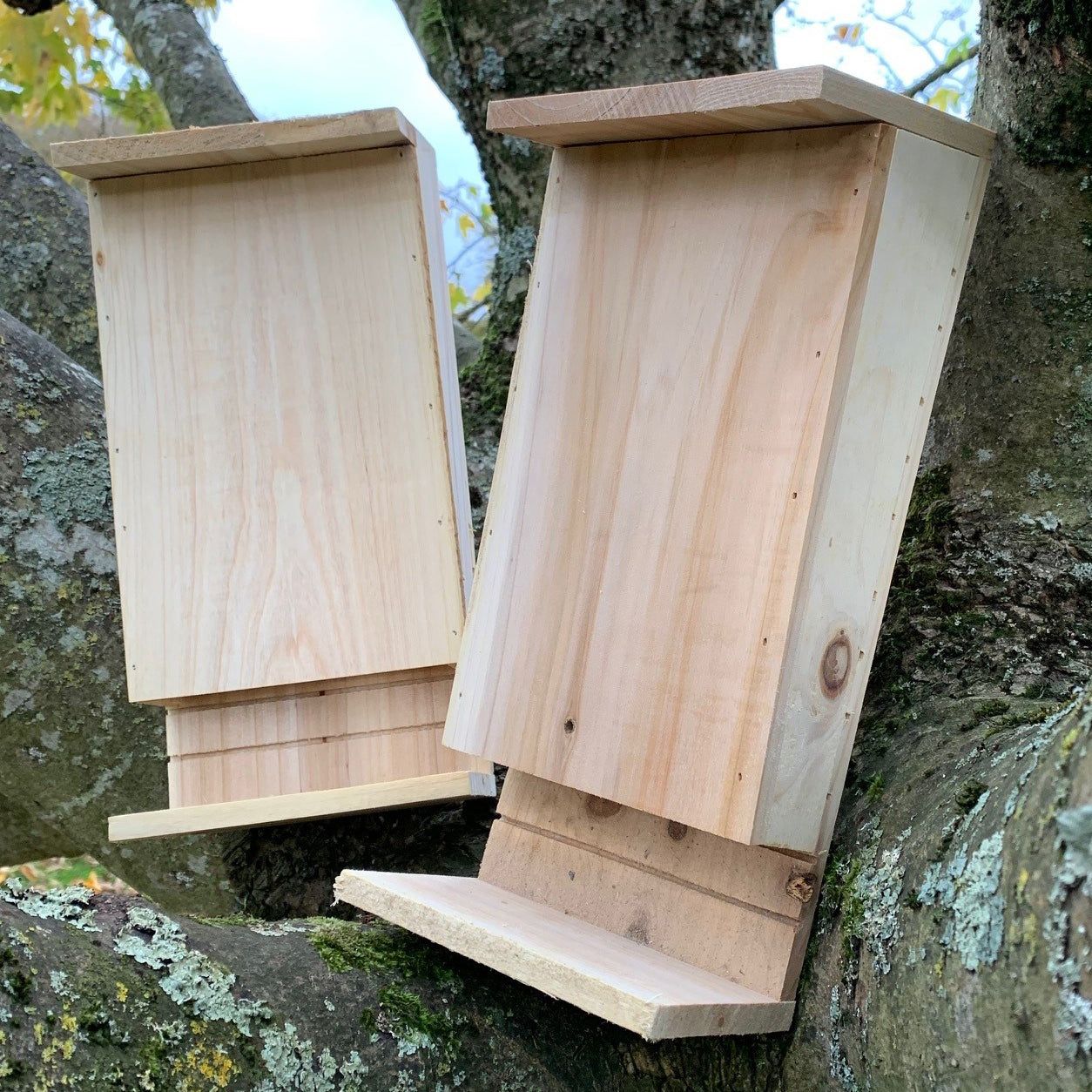 Set of 2 Wooden Bat Boxes with Landing Perch