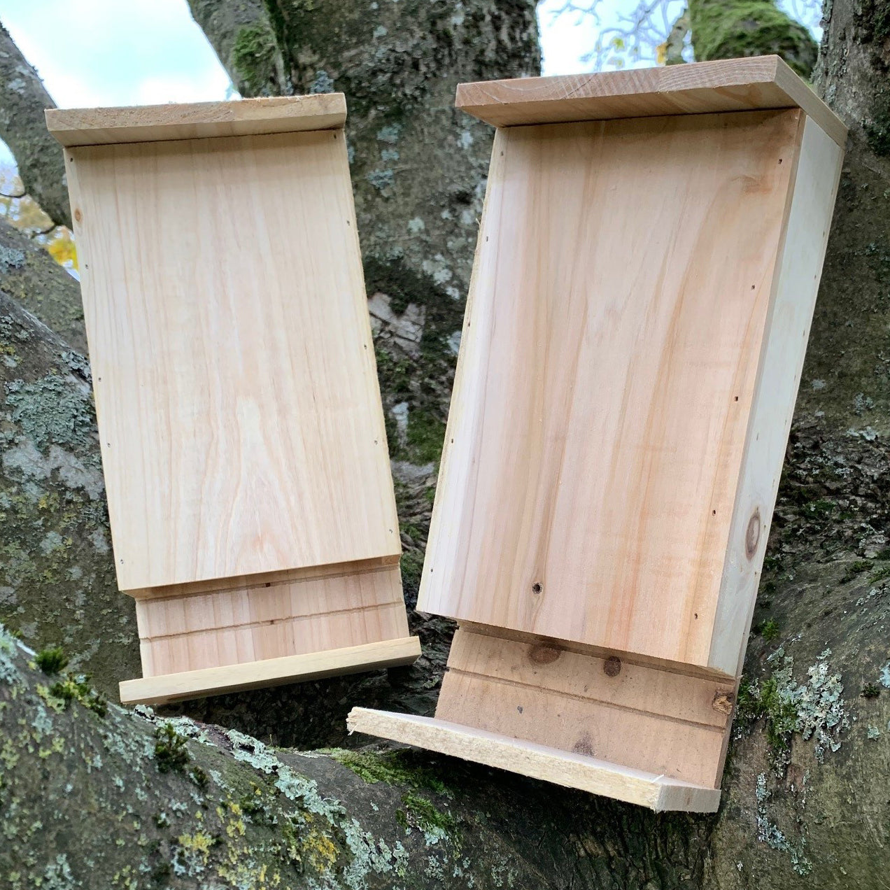 Set of 2 Wooden Bat Boxes with Landing Perch