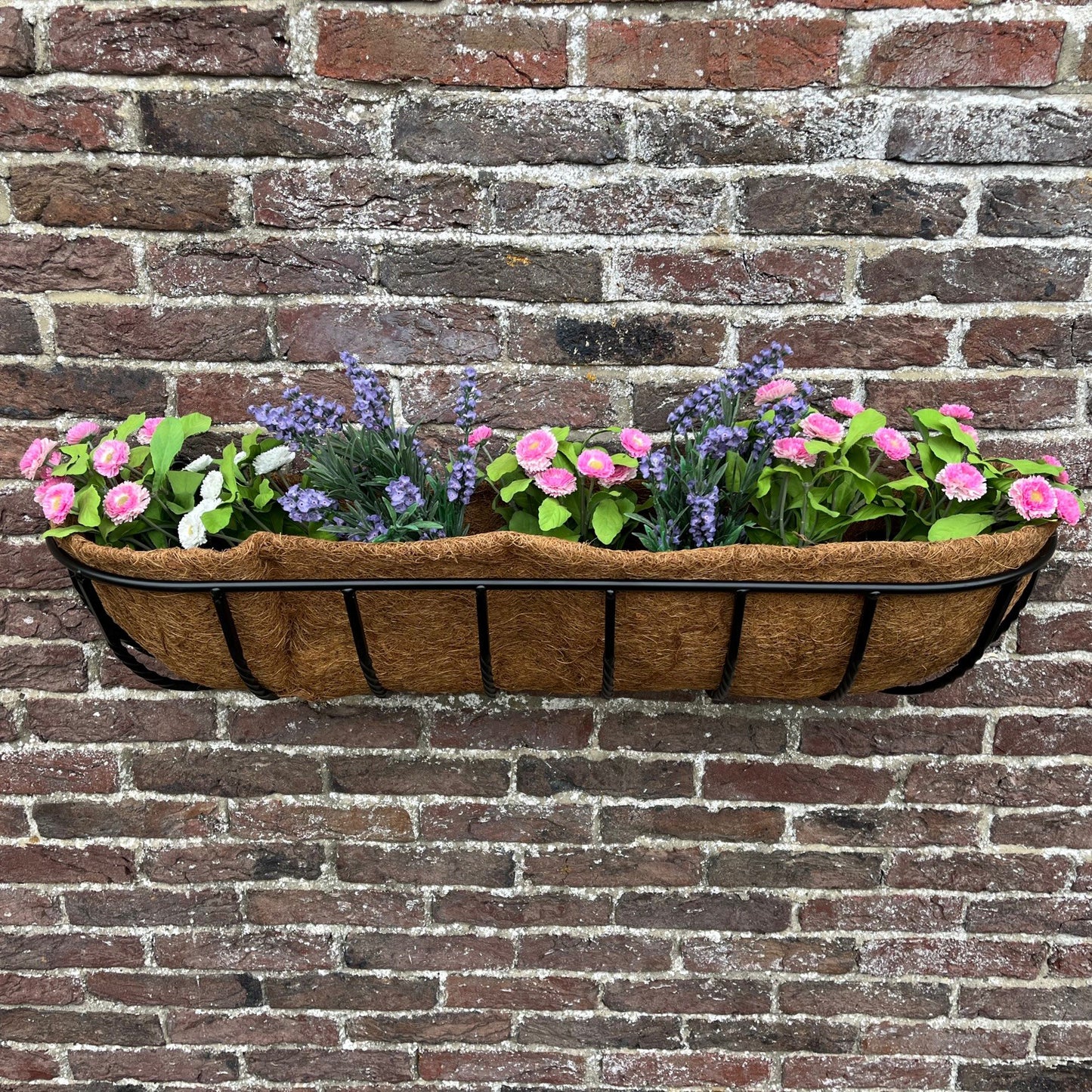 Manor Garden Black Metal Wall Basket Manger Trough Planters (90cm) - Pack of 2