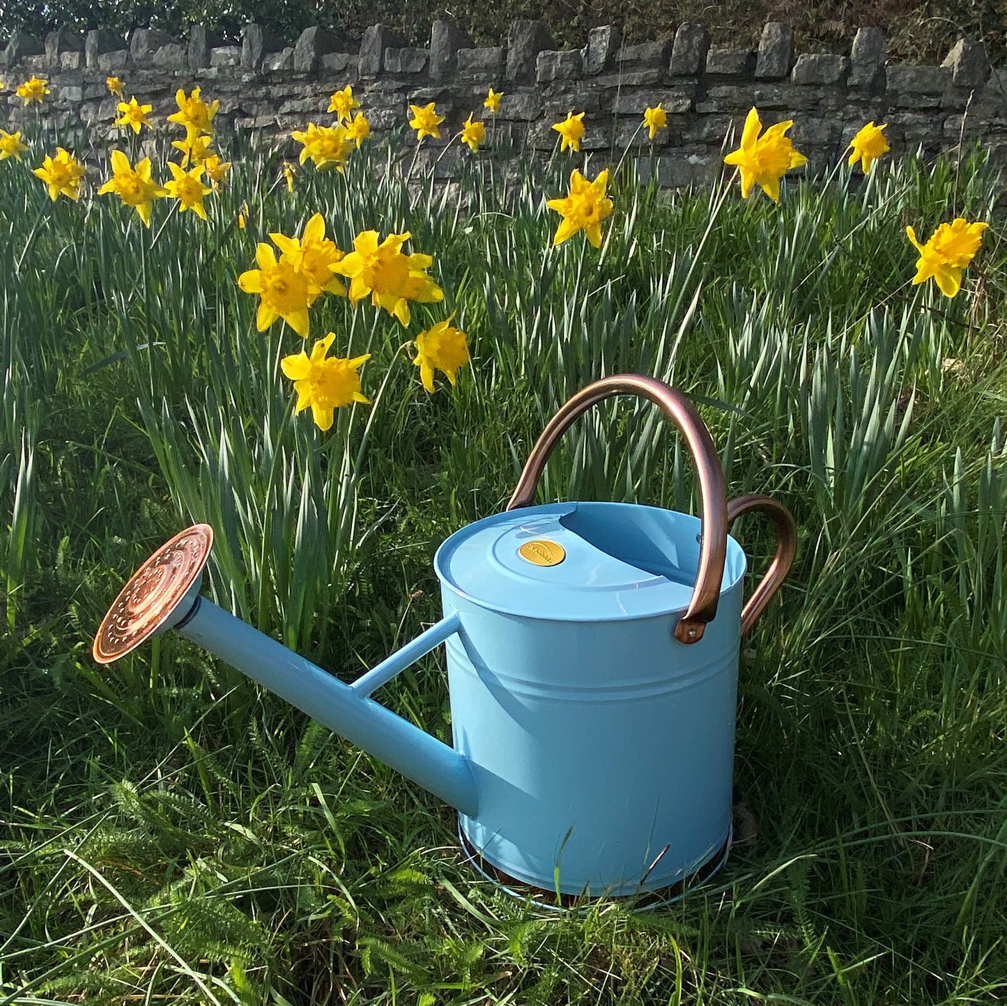 Duck Egg Blue & Copper Metal Watering Can with Rose (9 Litre)