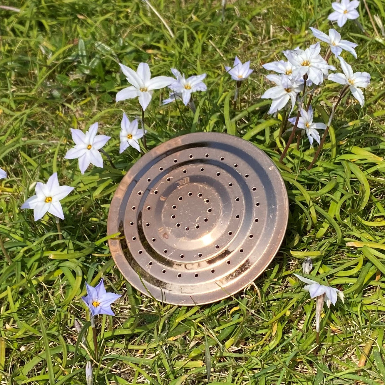 Rose for 9 Litre Heather and Copper Watering Can GFJ854