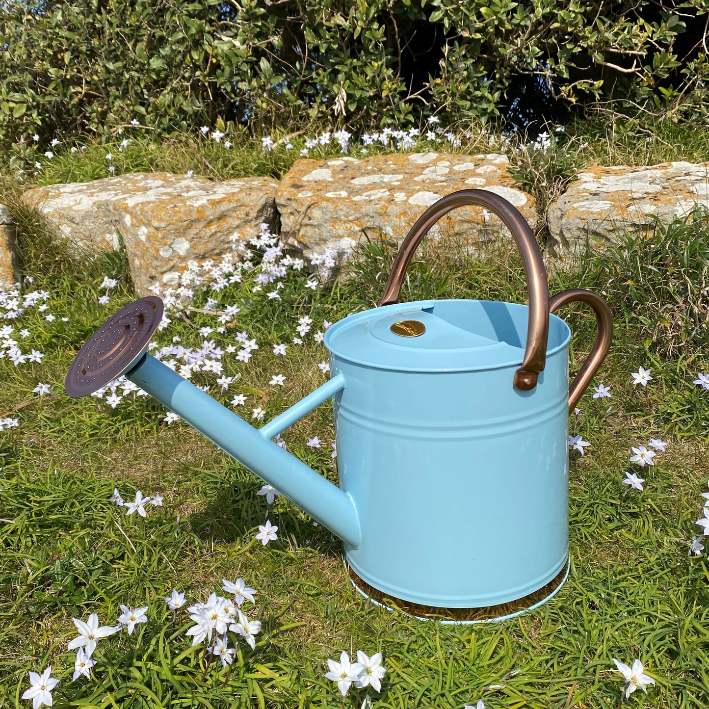 Duck Egg Blue & Copper Metal Watering Can with Rose (9 Litre)