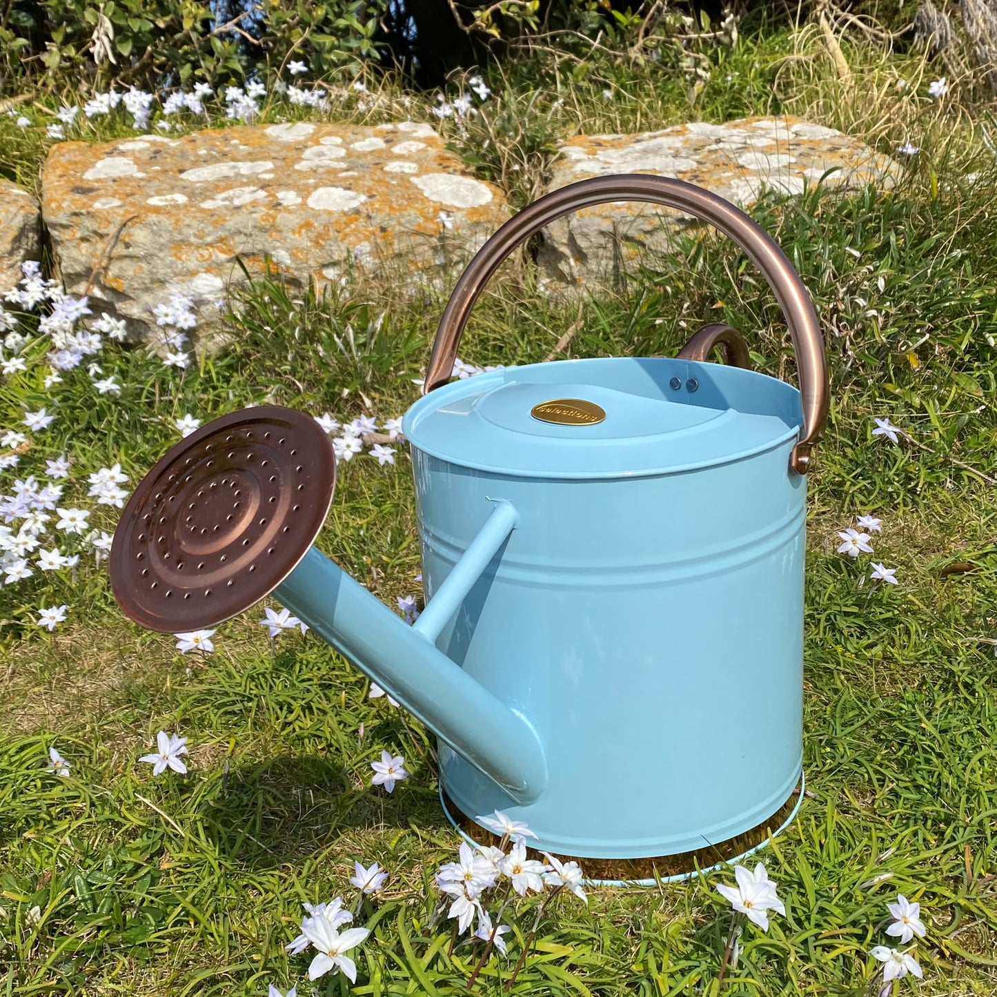 Duck Egg Blue & Copper Metal Watering Can with Rose (9 Litre)