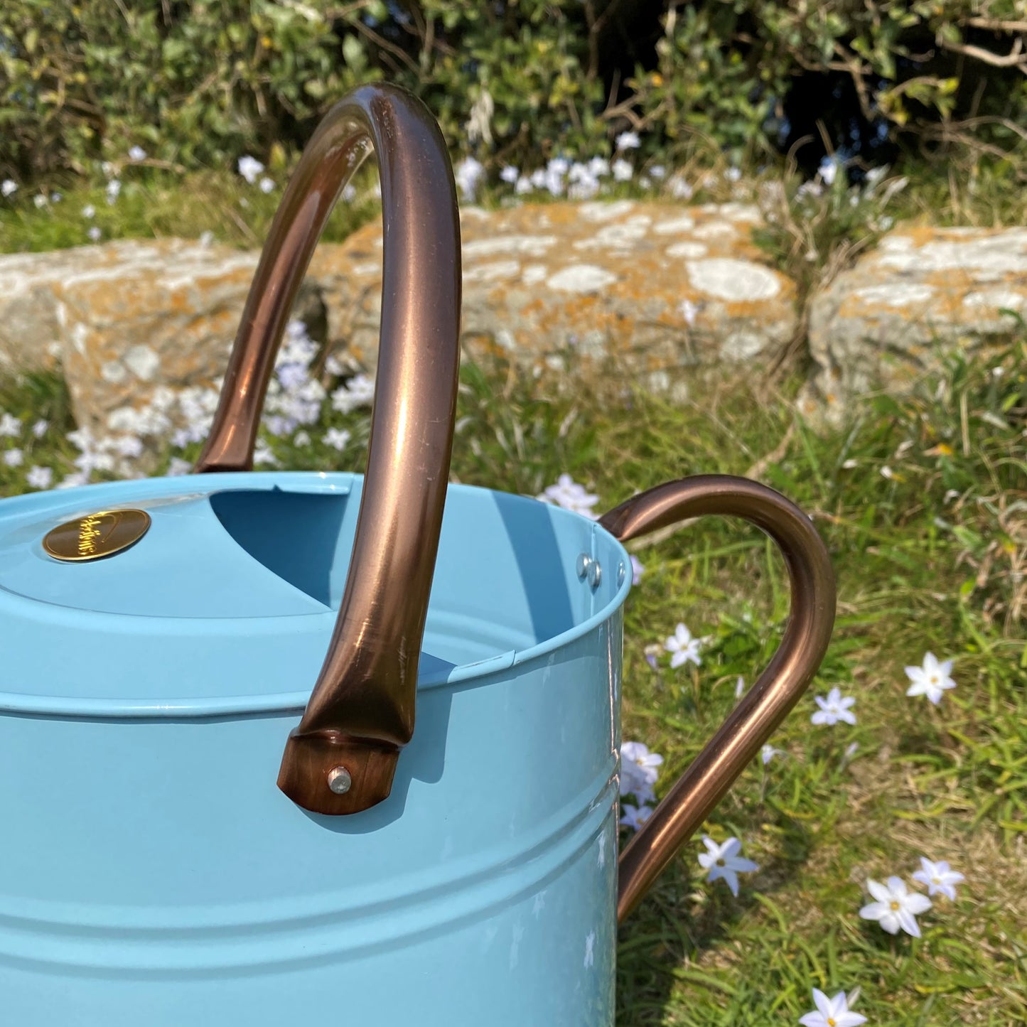 Duck Egg Blue & Copper Metal Watering Can with Rose (9 Litre)