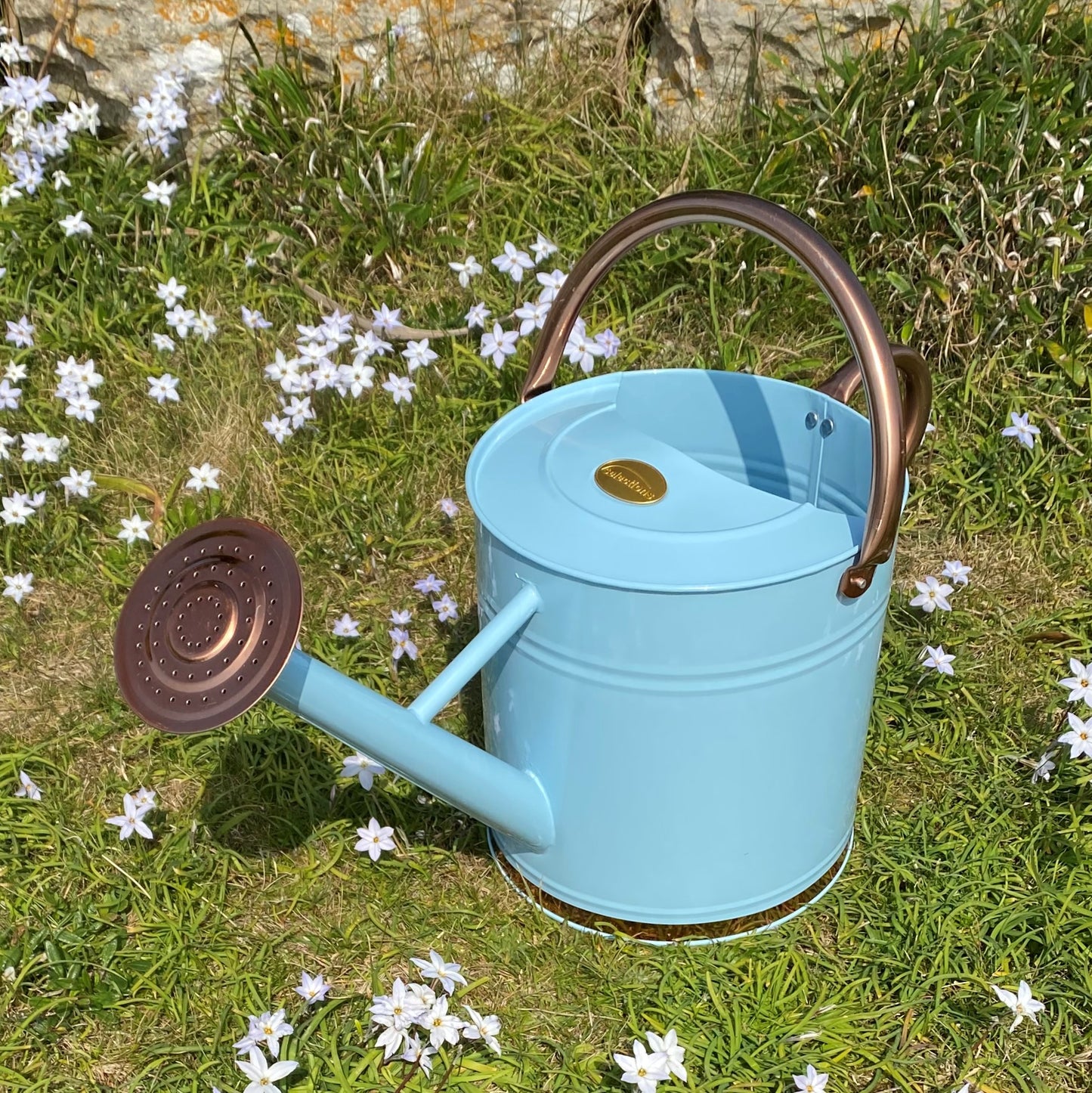 Duck Egg Blue & Copper Metal Watering Can with Rose (9 Litre)