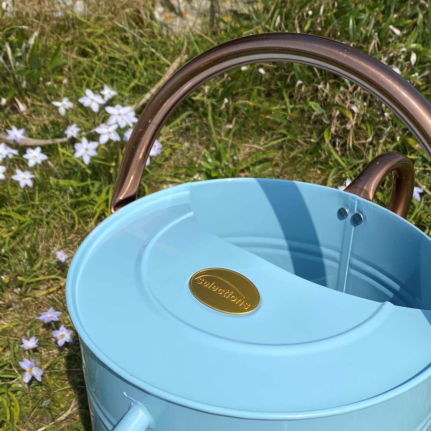 Duck Egg Blue & Copper Metal Watering Can with Rose (9 Litre)