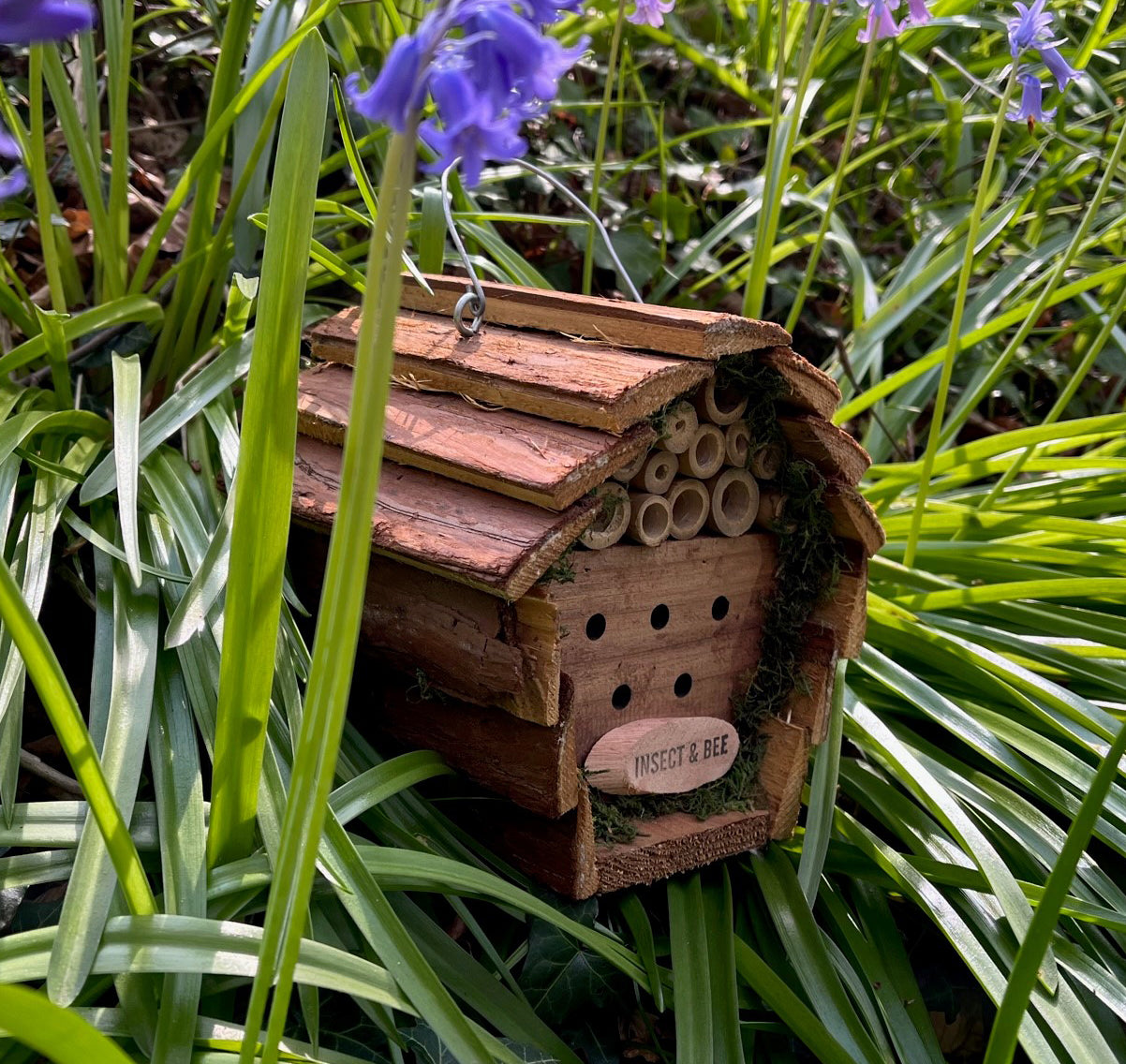 Wooden Hanging Butterfly & Insect House Set