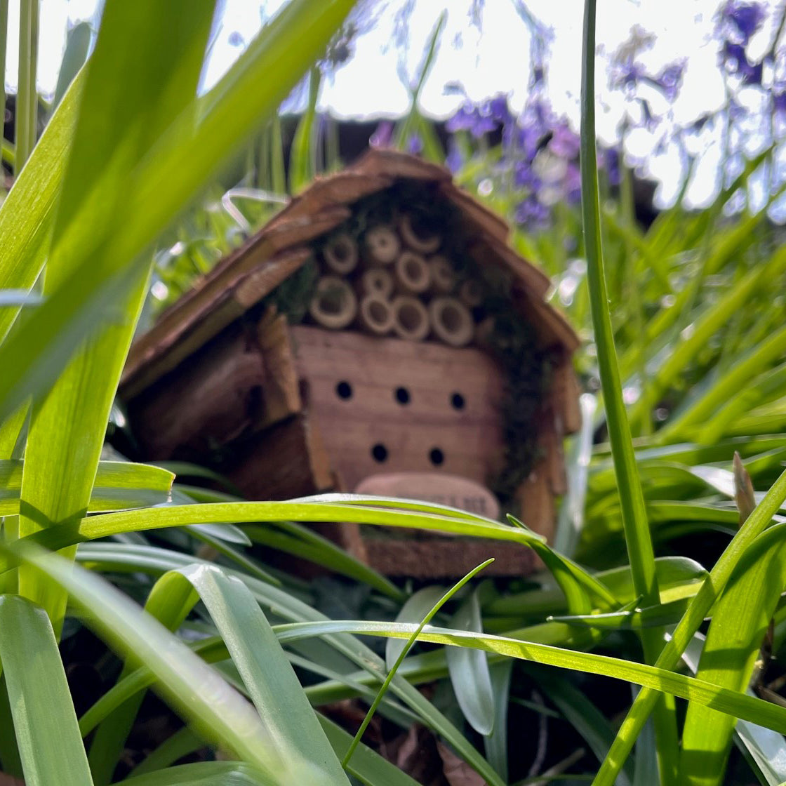 Wooden Hanging Butterfly & Insect House Set