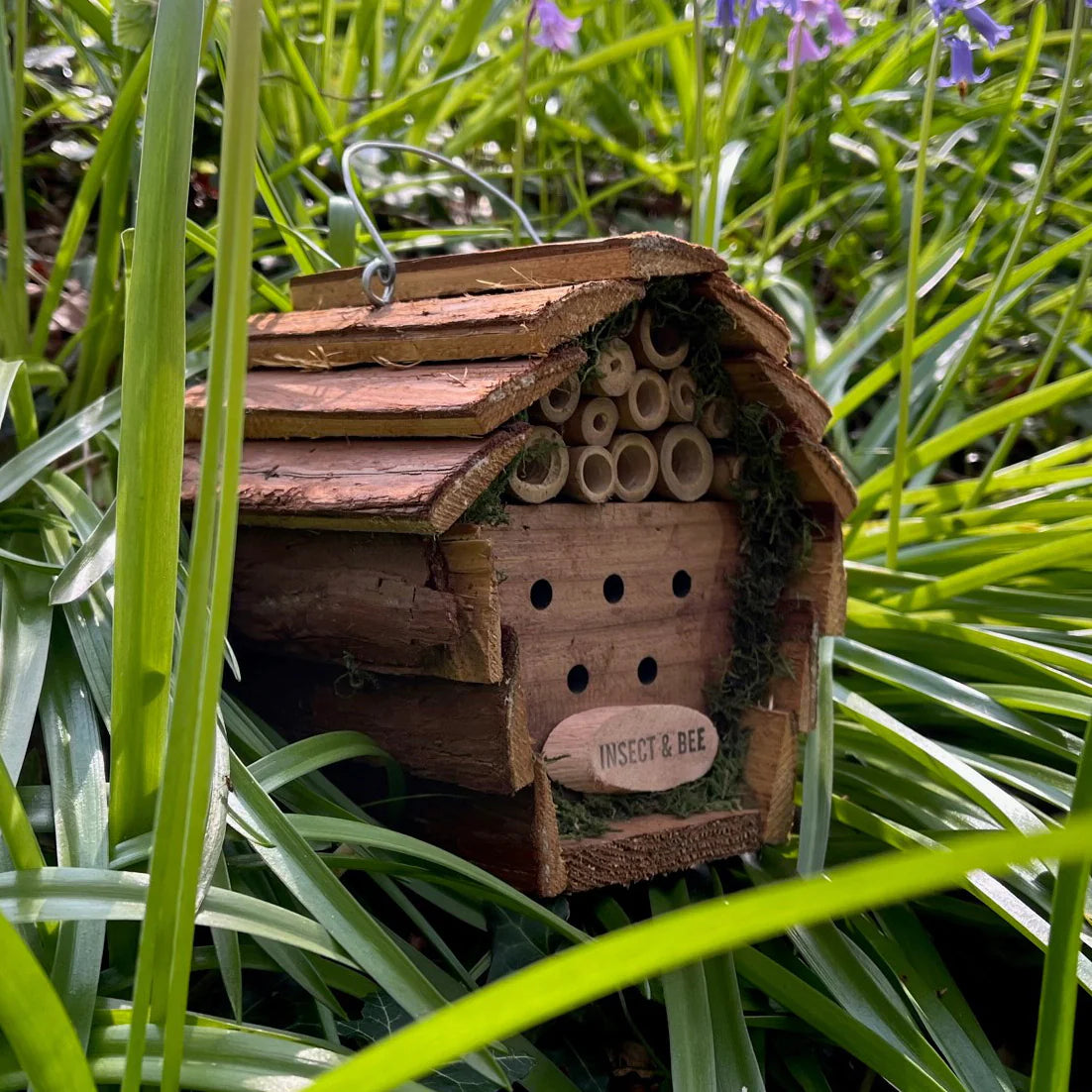 Hanging Wooden Bird Nest Box, Insect Hotel & Squirrel Feeder Wildlife Care Set