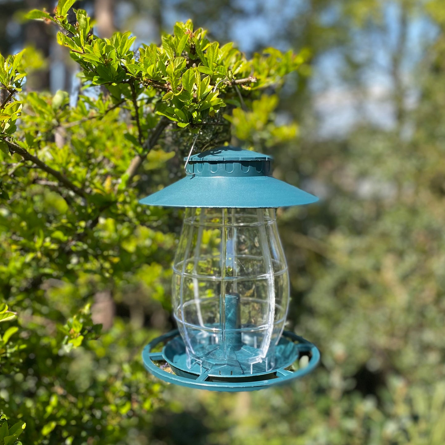 Godrevy Lantern Seed Bird Feeders (Set of 2)