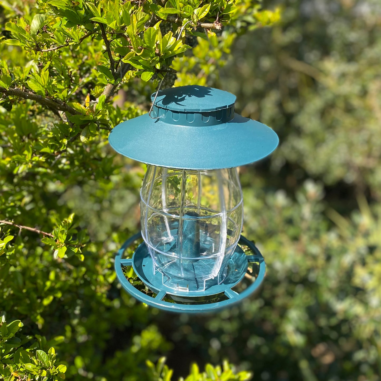 Godrevy Lantern Seed Bird Feeder