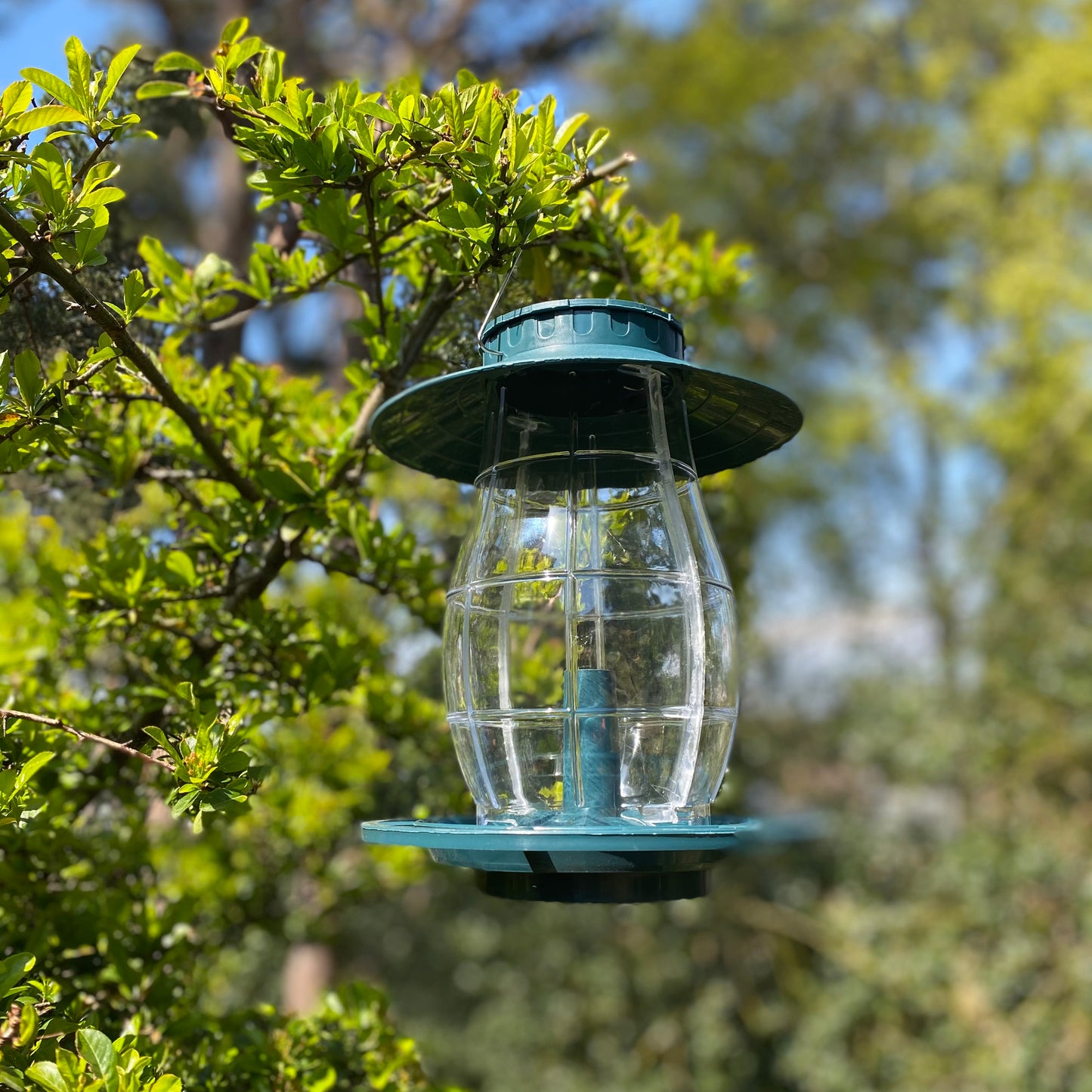 Godrevy Lantern Seed Bird Feeders (Set of 2)