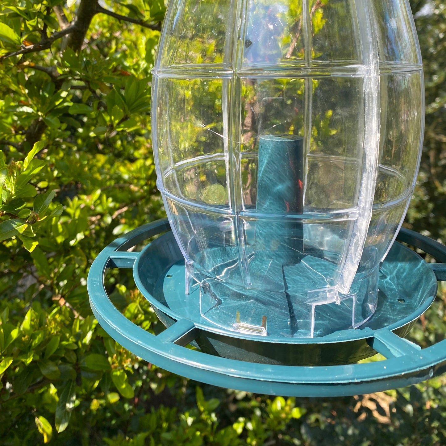 Godrevy Lantern Seed Bird Feeder