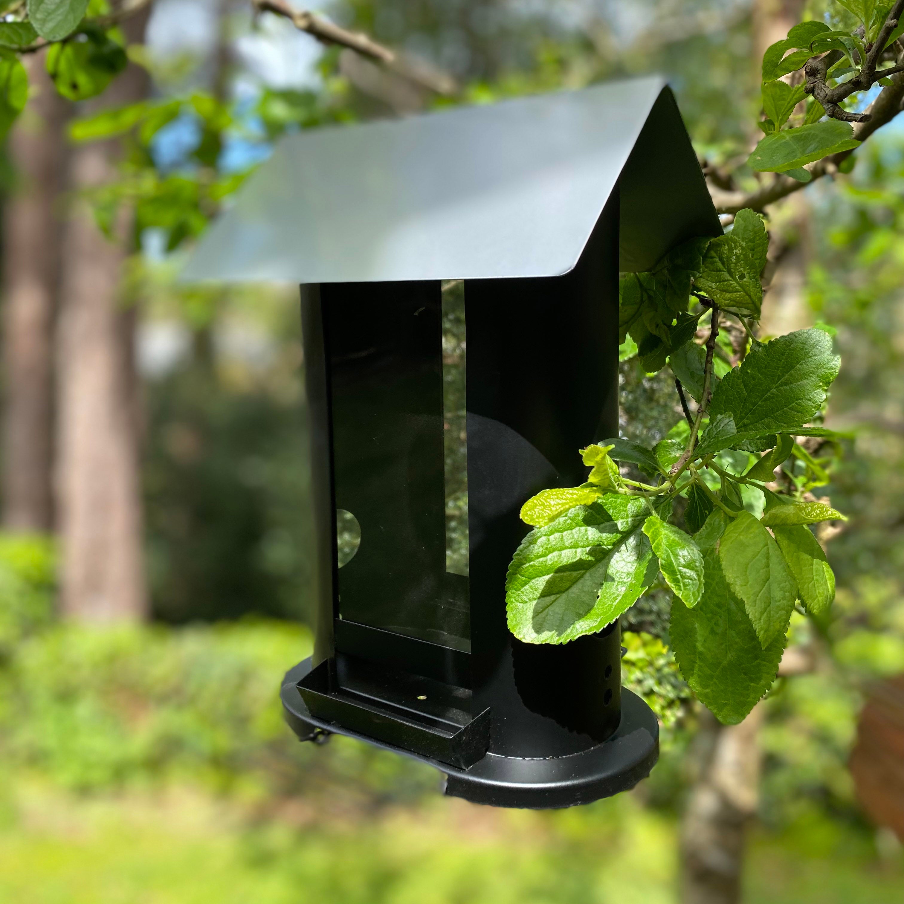 Wentworth Bird Seed Feeder with 4 Feeding Ports