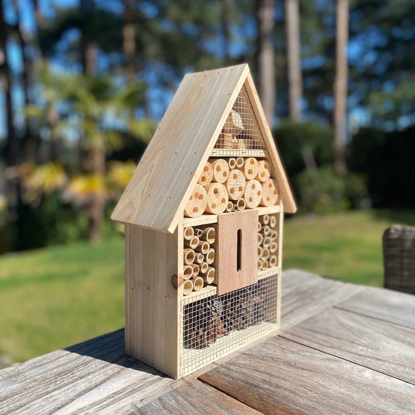 Wooden Insect, Butterfly, Bug & Bee House