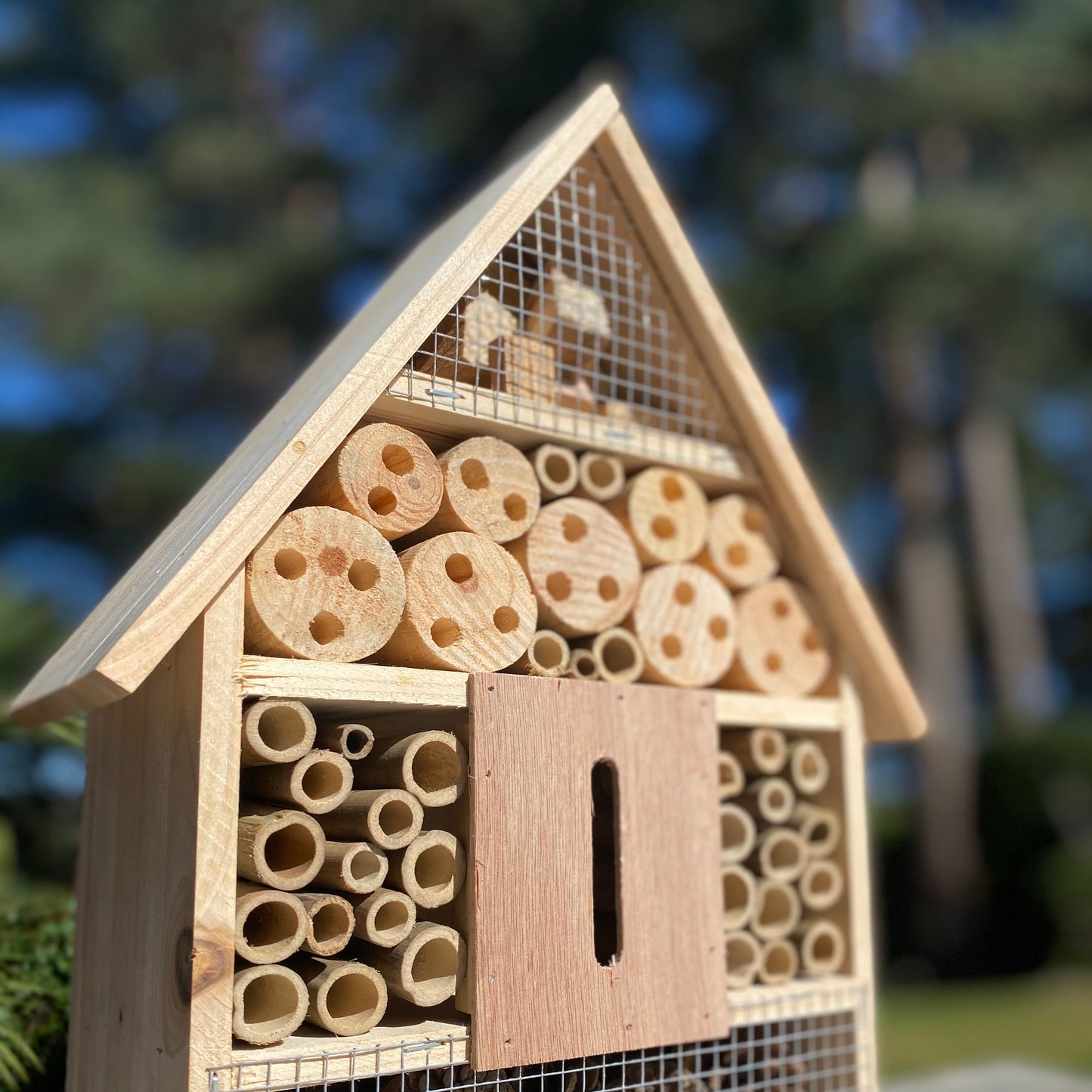 Wooden Insect, Butterfly, Bug & Bee House