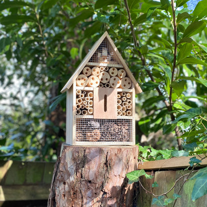 Wooden Insect, Butterfly, Bug & Bee House