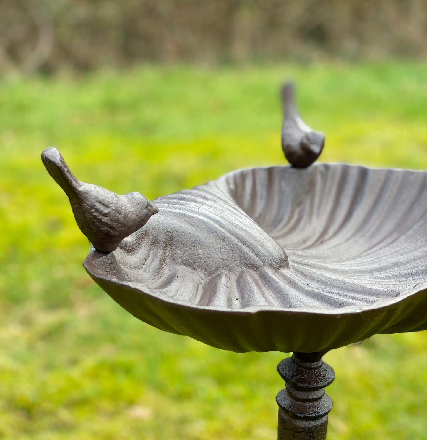 Windsor Cast Iron Bird Bath