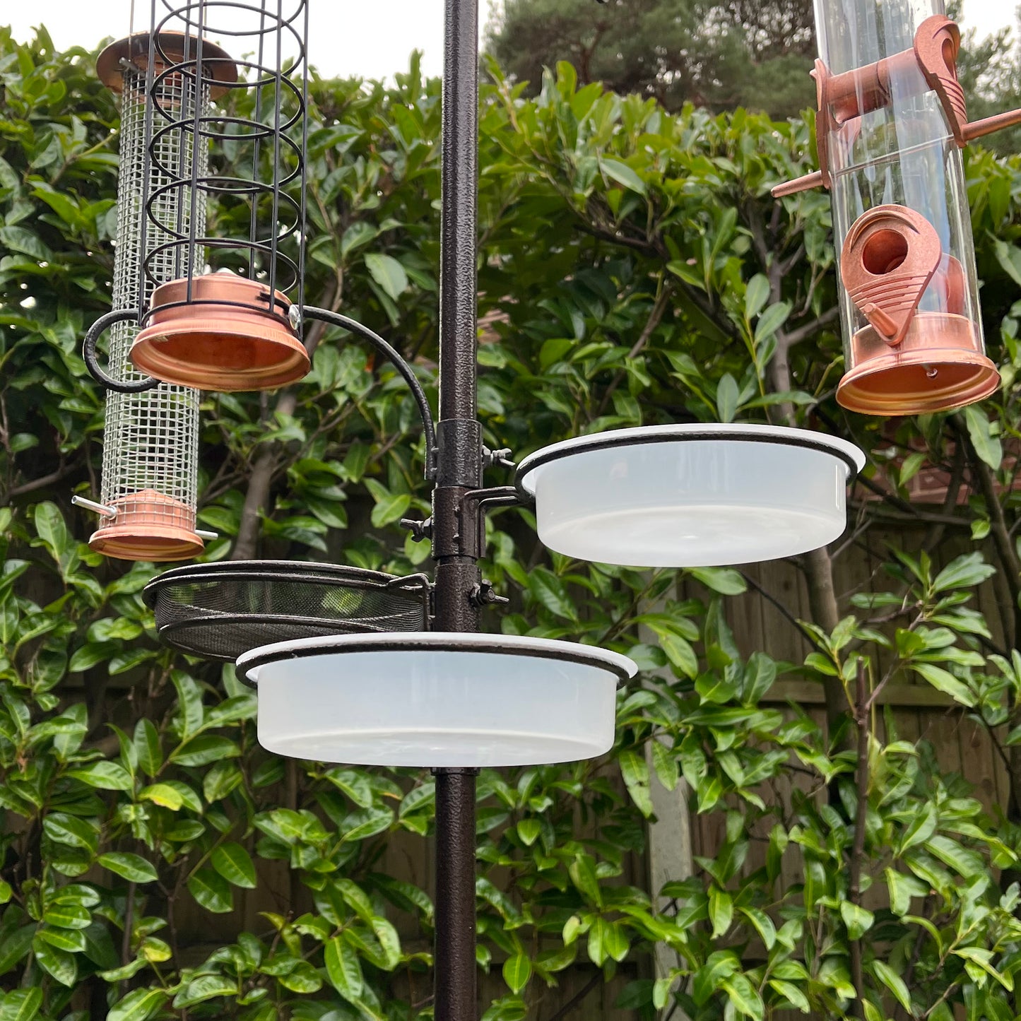 Deluxe Complete Metal Bird Feeding Station with Large Copper Style Feeders & Baffle