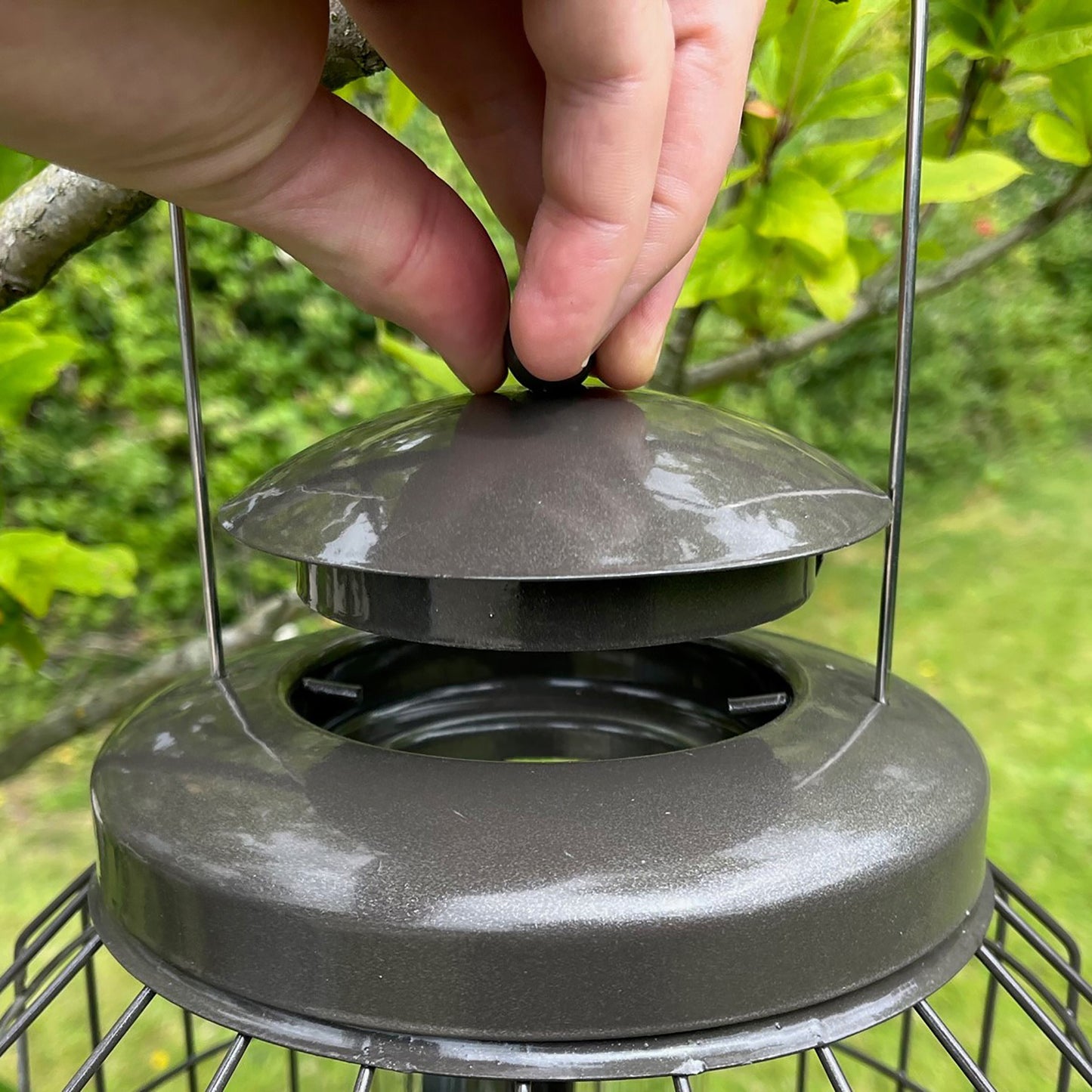 Heavy Duty Squirrel Proof Hanging Bird Seed Feeder