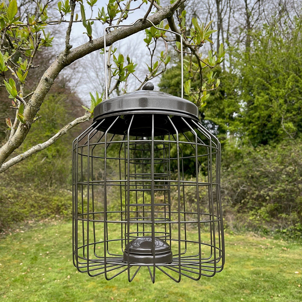 Heavy Duty Squirrel Proof Hanging Bird Suet Fat Ball Feeder