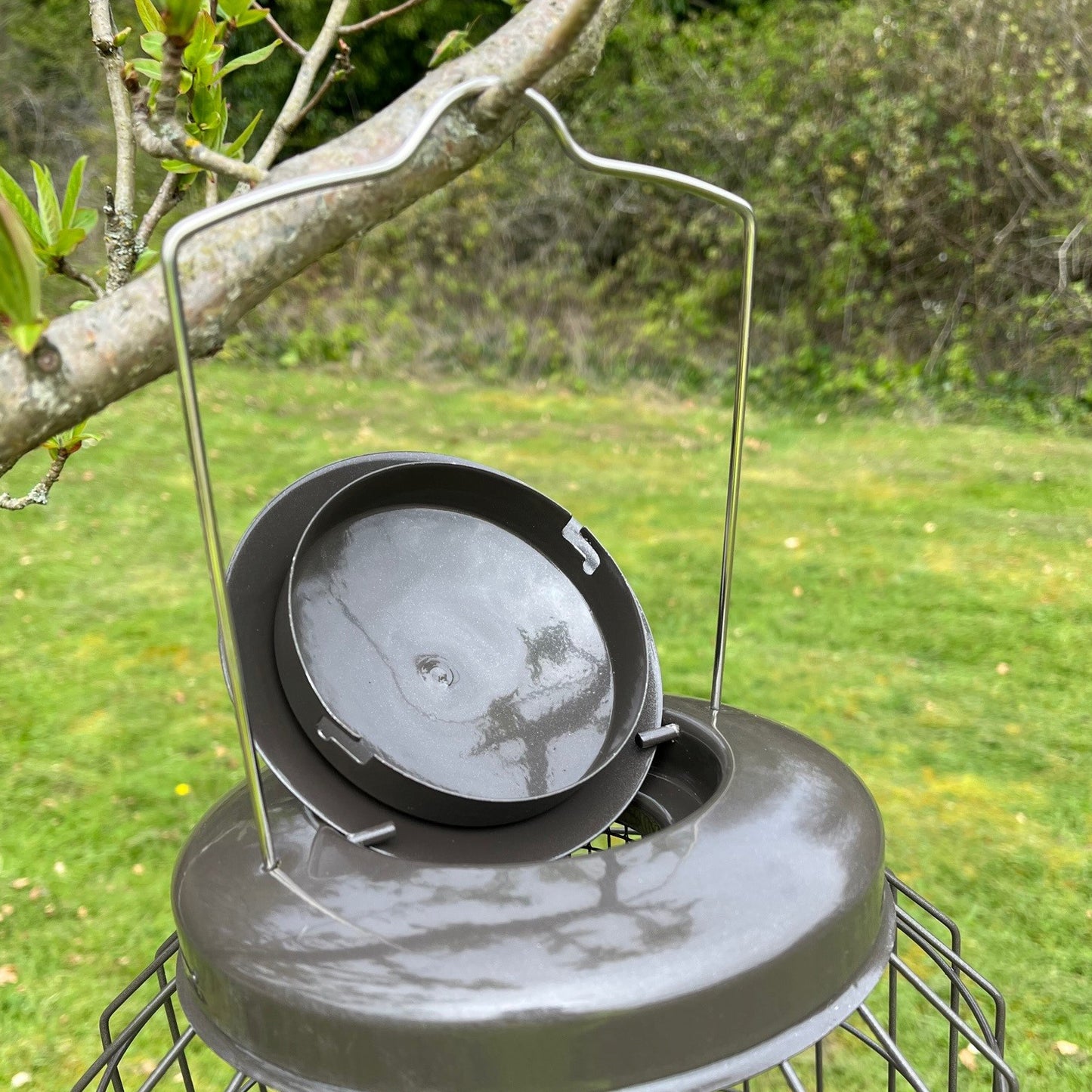 Heavy Duty Squirrel Proof Hanging Bird Nut Feeder