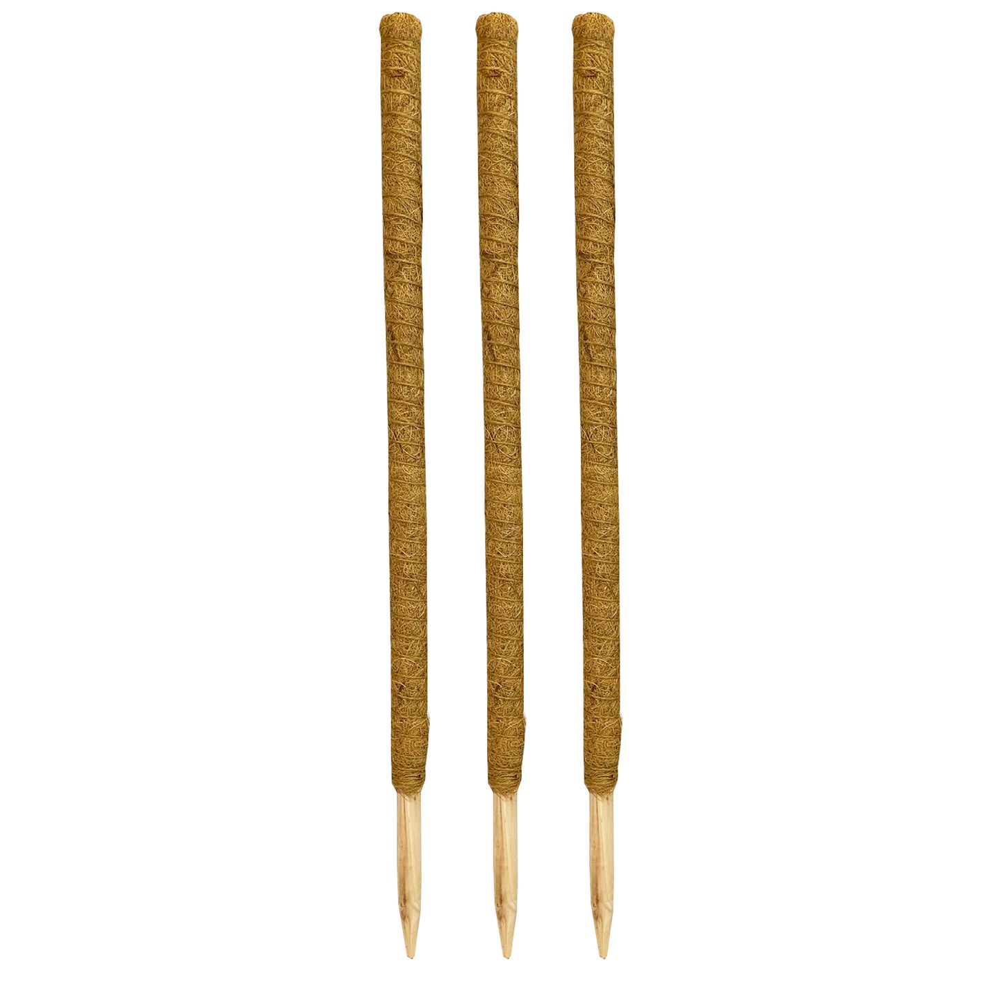 House Plant Support Stake Coconut Fibre Pole Sticks (80cm) - Pack of 3