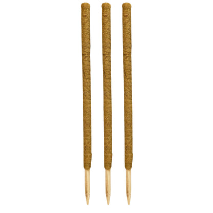 House Plant Support Stake Coconut Fibre Pole Sticks (80cm) - Pack of 3