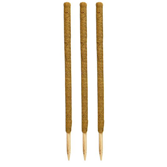 House Plant Support Stake Coconut Fibre Pole Sticks (80cm) - Pack of 3