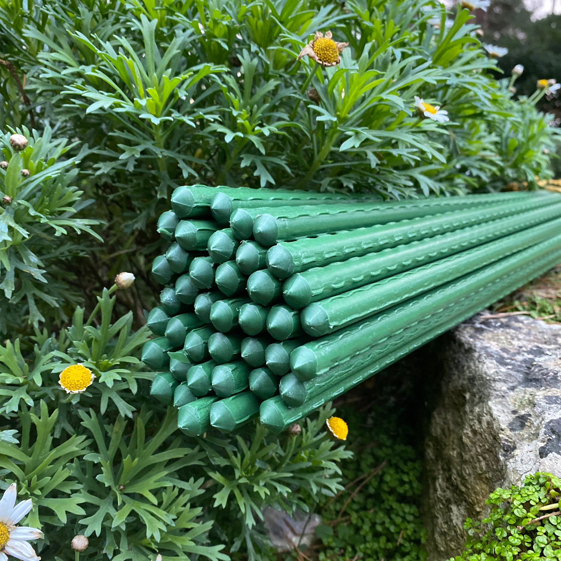 plastic sticks for plants Plastic Coated Metal Garden Plant Support Sticks (140cm)