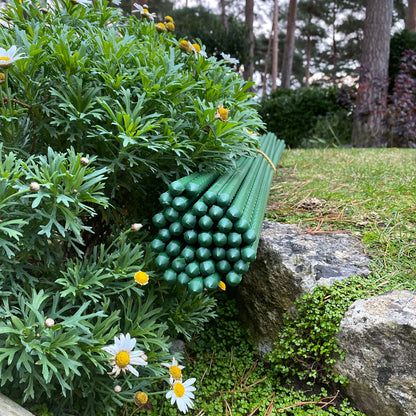 pot plant support sticks Plastic Coated Metal Garden Plant Support Sticks (120cm)