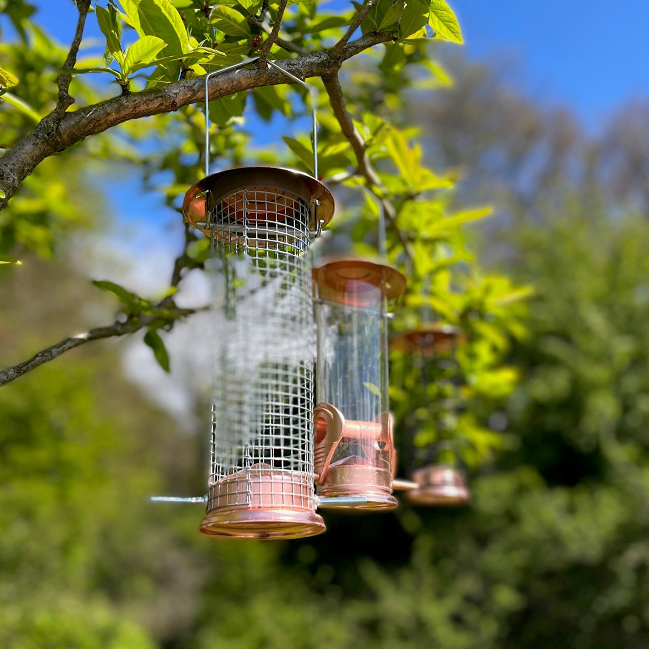 Copper Style Hanging Bird Feeders Seed, Nut and Fatball (Set of 3)