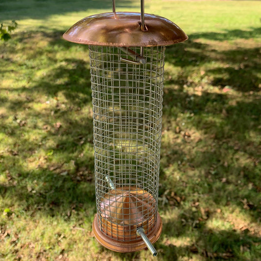 Bird feeder with wire mesh and wooden base on a grassy background