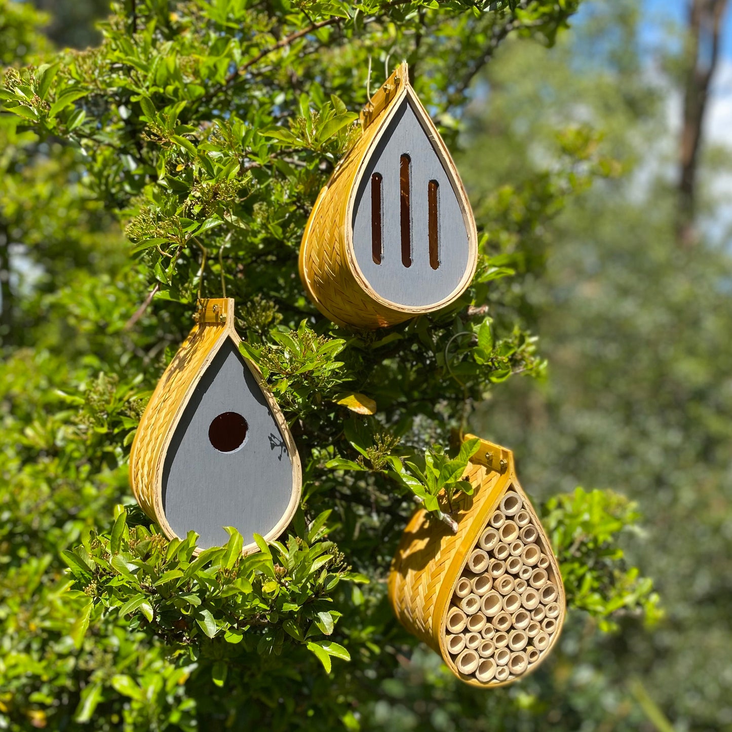 Hanging Wooden Bird, Butterfly & Insect Hotels & Squirrel Feeder Wildlife Care Set