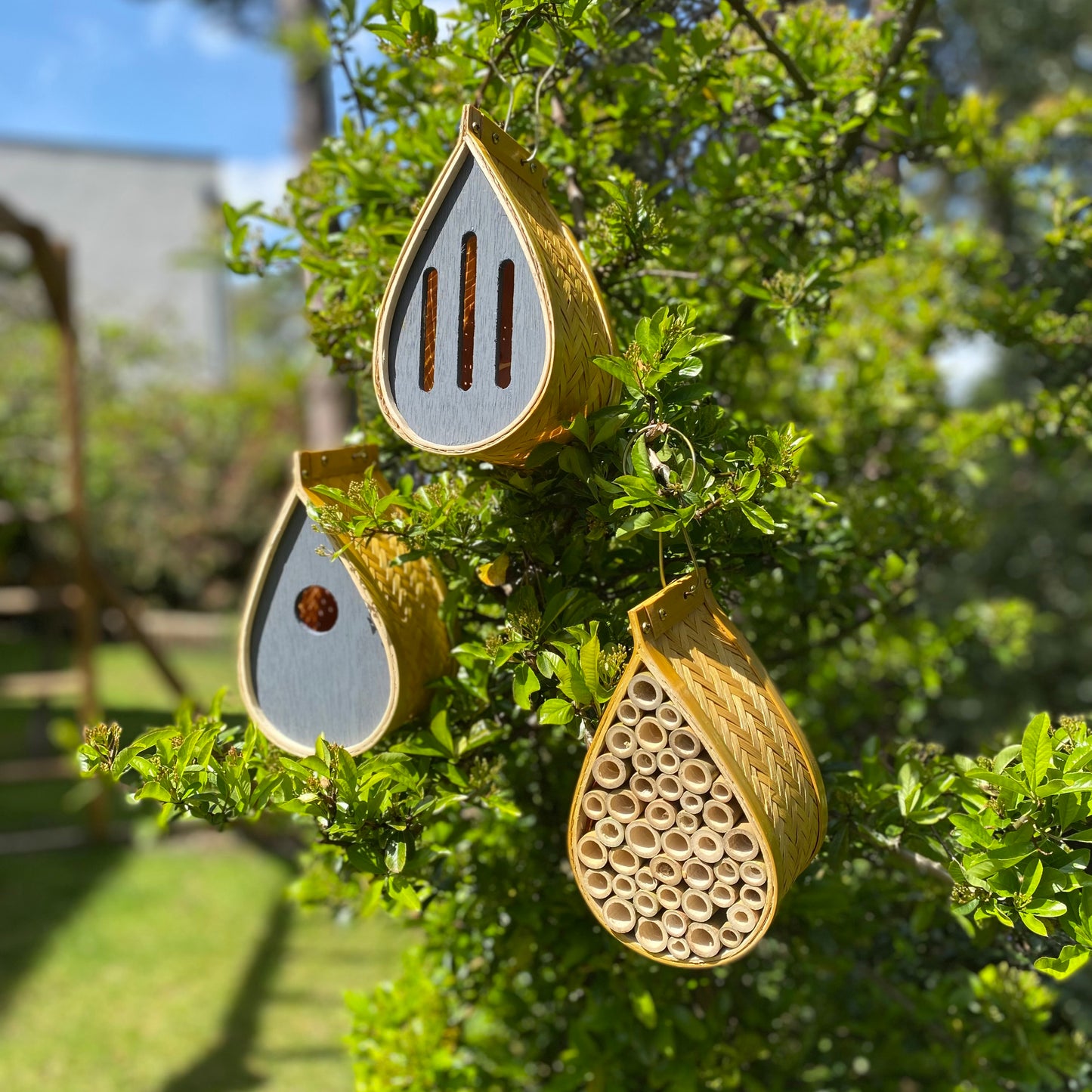 Hanging Teardrop Bird Nest Box, Insect Hotel & Butterfly House Wildlife Care Set