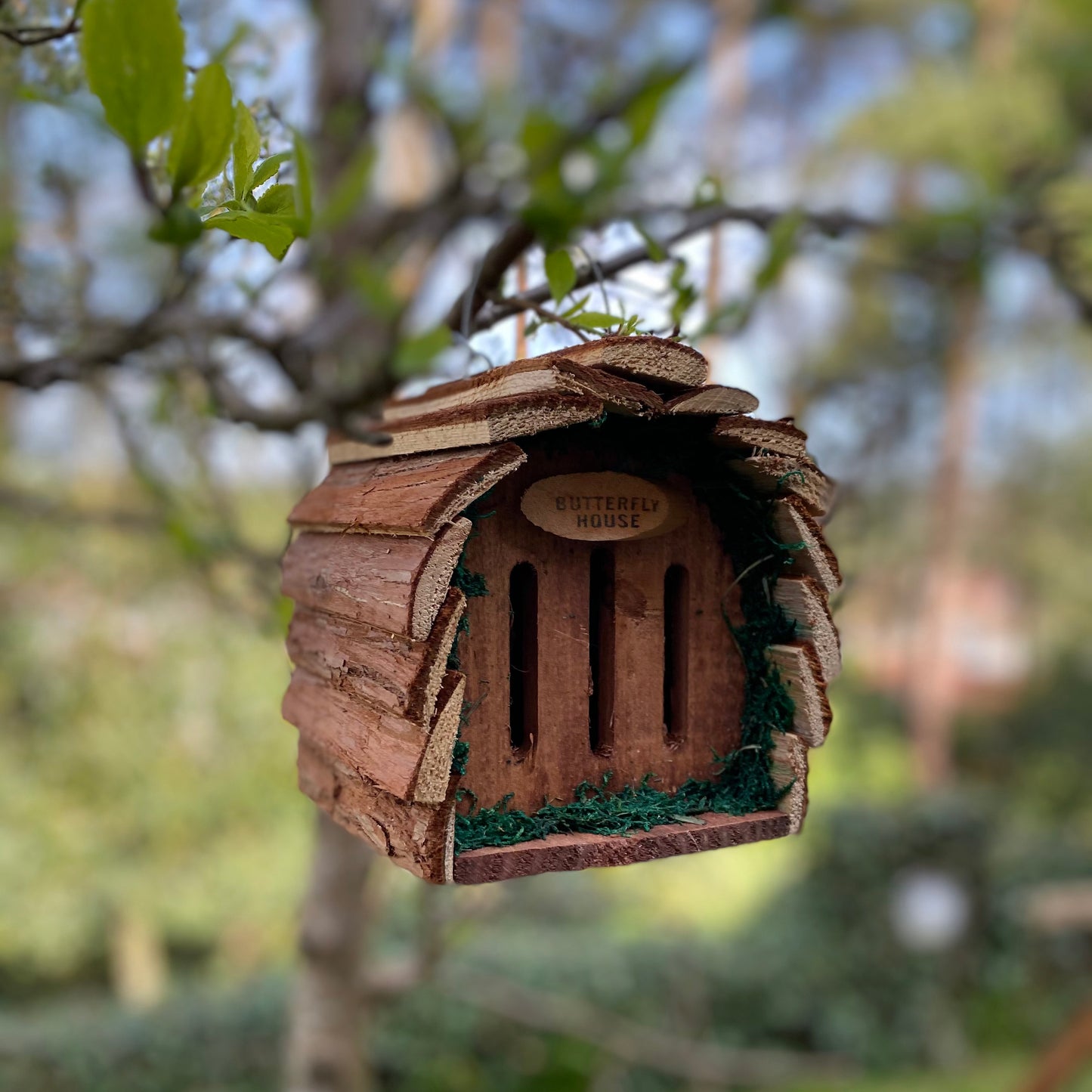 Wooden Hanging Butterfly & Insect House Set