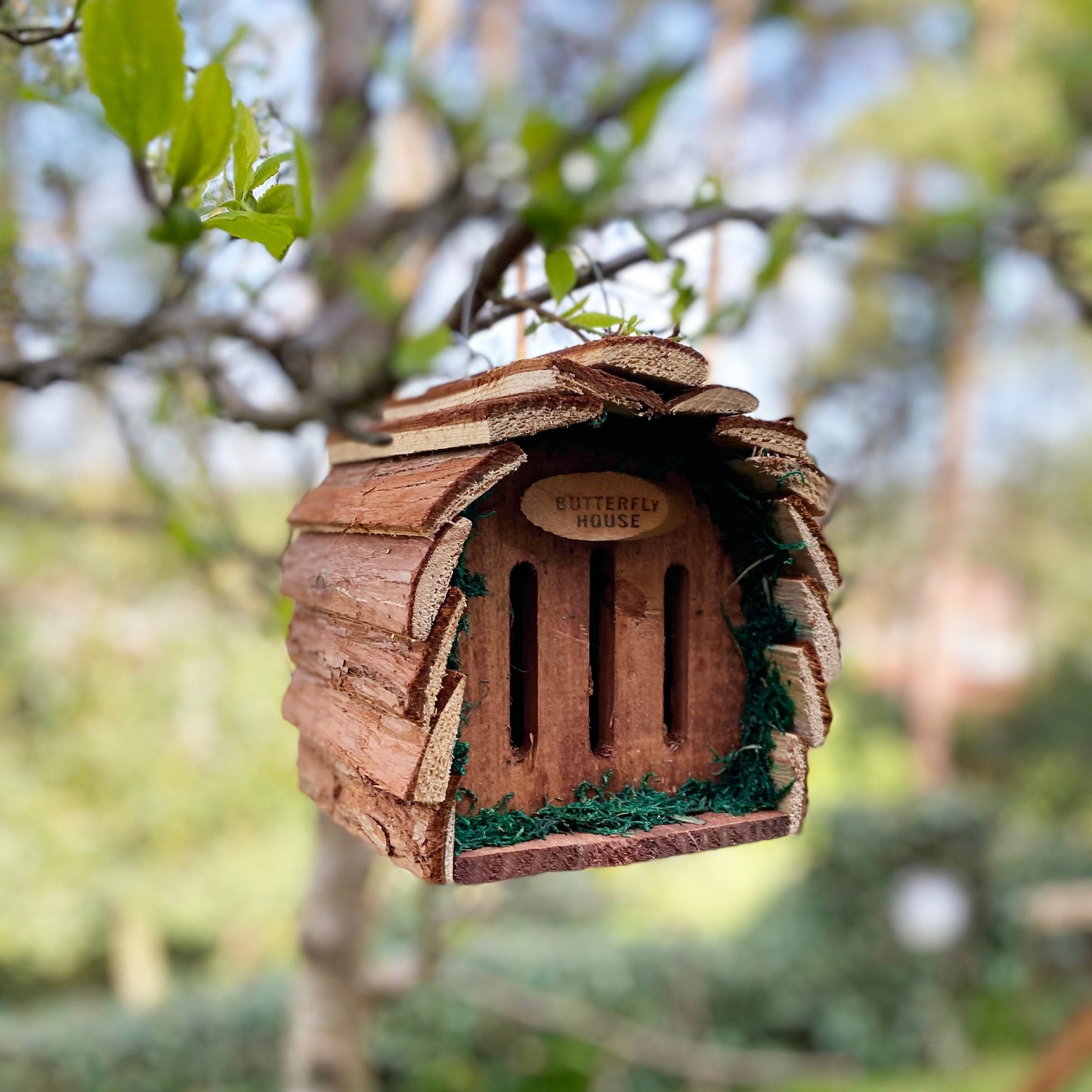 Set of 2 Wooden Hanging Butterfly Houses