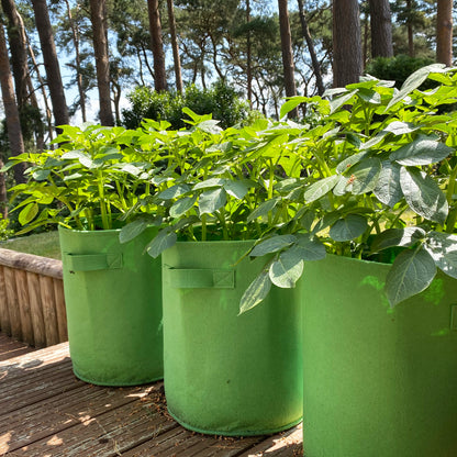 Potato & Vegetable Planter Grow Bags (Set of 3) Non Woven Aeration Fabric Pots
