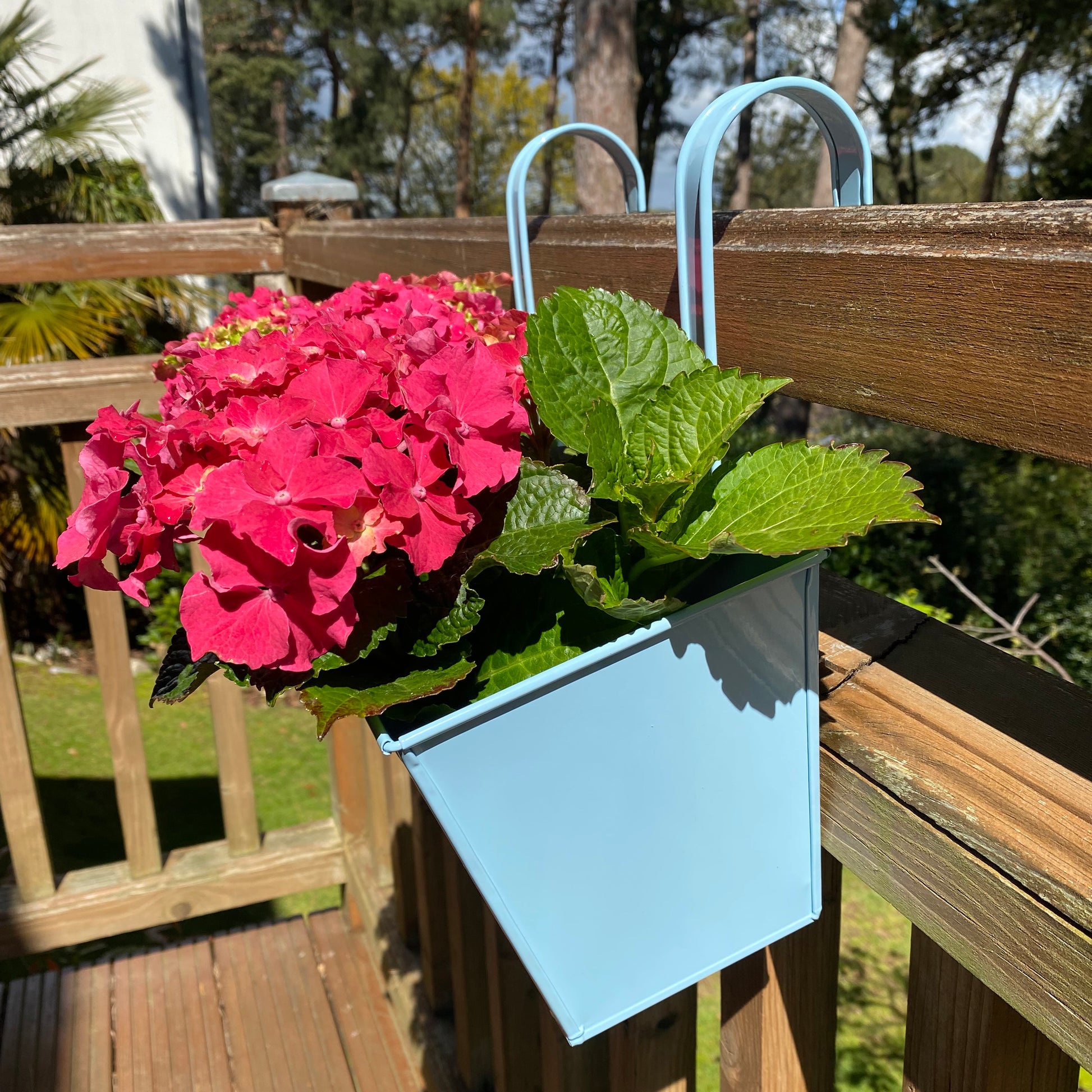 duck egg plant pot Duck Egg Blue Balcony Railing Hanging Planters