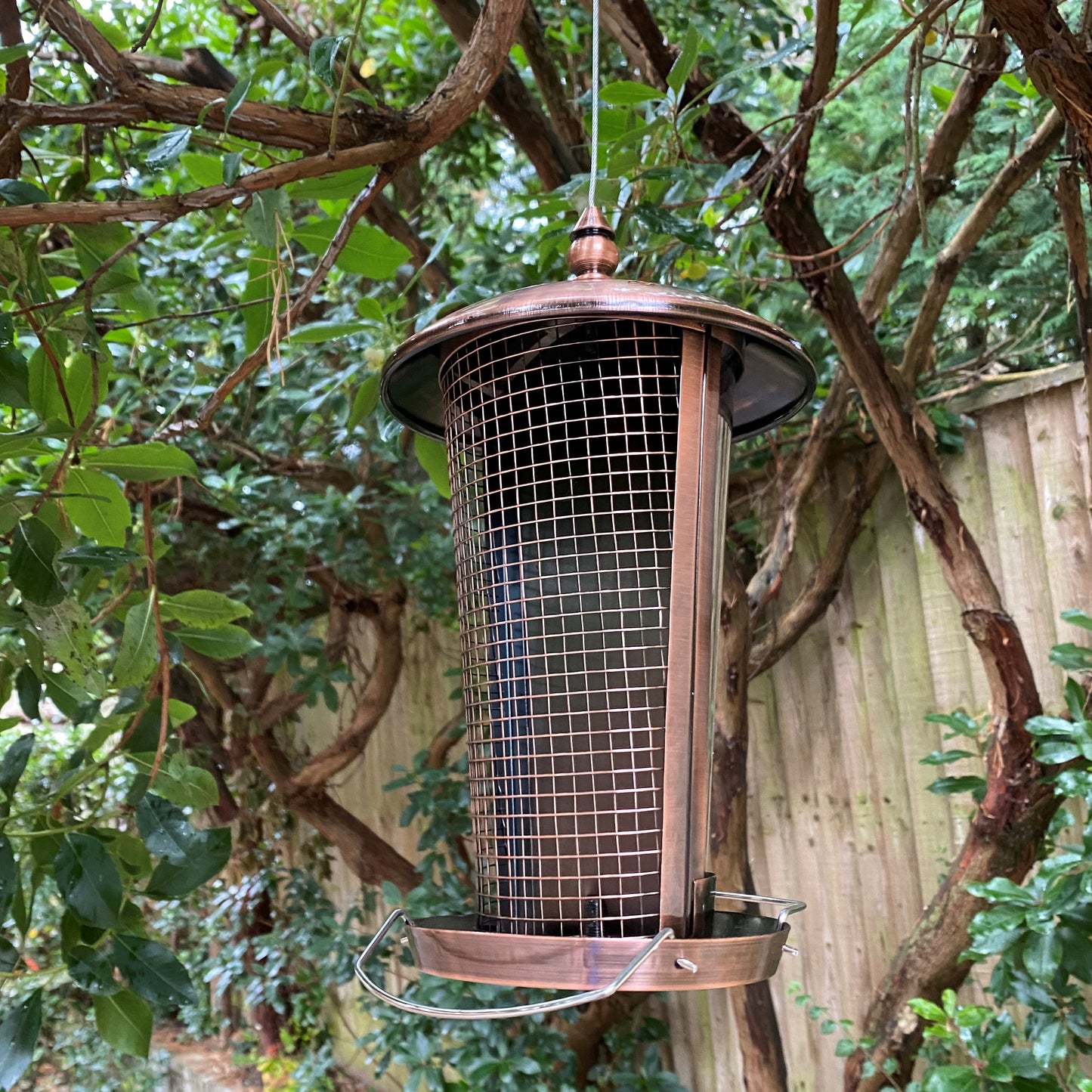 Deluxe 2 in 1 Seed and Nut Hanging Bird Feeder