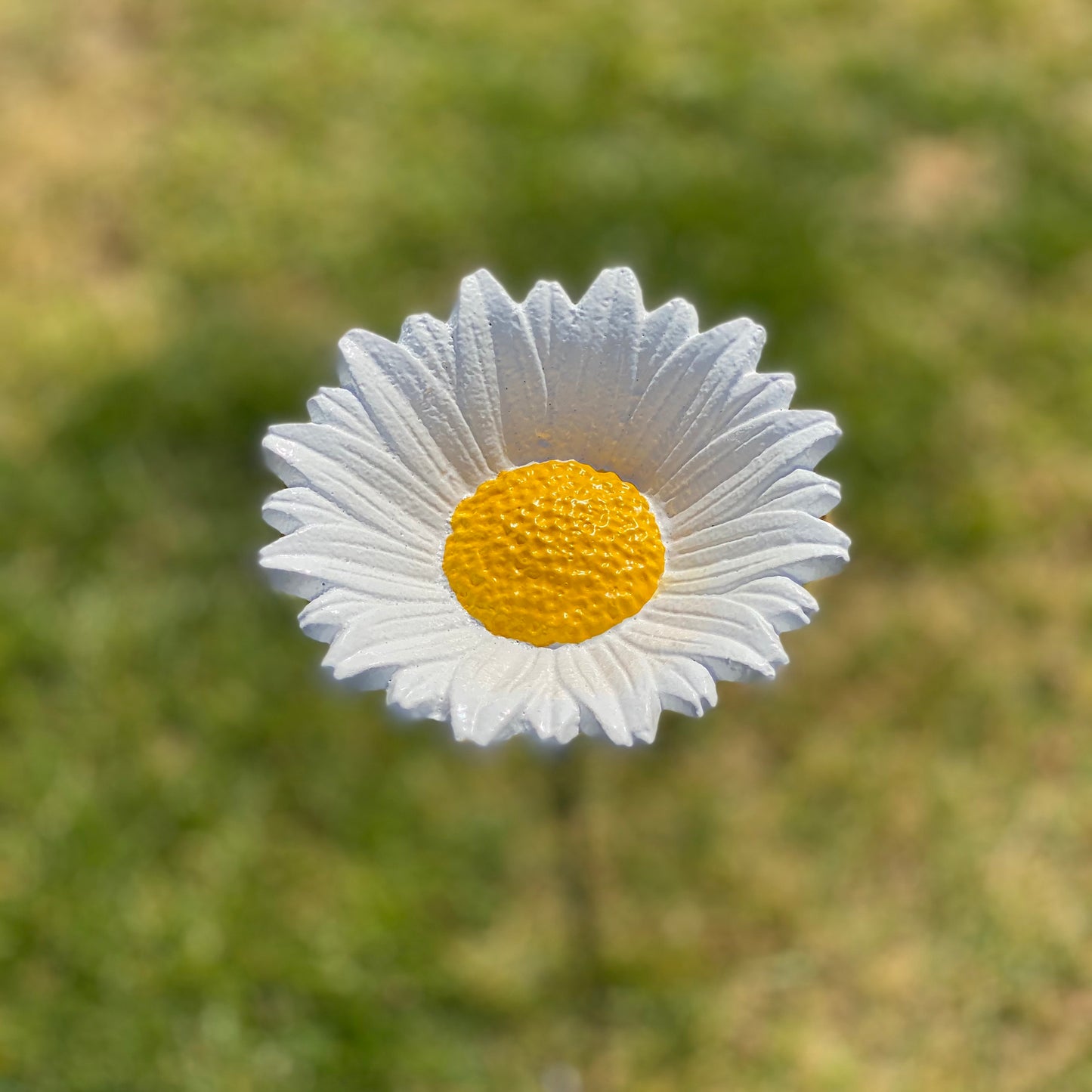 Floral Bird Feeders - Poppy, Daffodil, Sunflower, Daisy & Forget Me Not