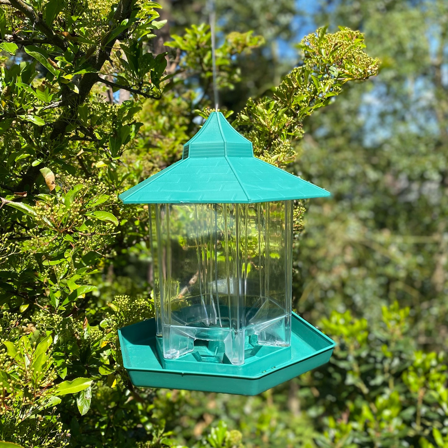 Durlston Green Chalet Bird Seed & Nut Feeder