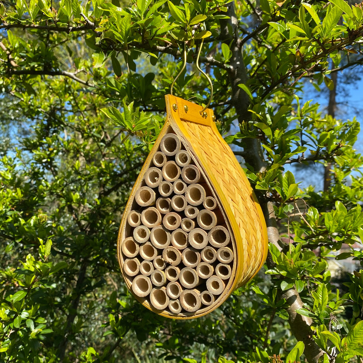 Hanging Bird Nest Box, Insect Hotel & Butterfly House & Wild Bird Roosting Habitat Pack